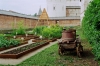 تصویر 74138  باغ گیاهان دارویی مسکو 