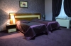 تصویر 61524 فضای اتاق های هتل کاسپیا پارک باکو