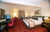 تصویر 100253  هتل آپارتمان دیلاکس اسکای لاین دبی