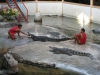 تصویر 76745  مزرعه و باغ وحش تمساح ساموت پراکارن بانکوک