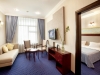 تصویر 79094 فضای اتاق های هتل دبی اینترنشنال باکو