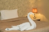 تصویر 5344 فضای اتاق های هتل نمی باکو