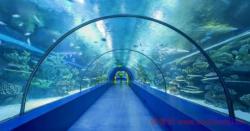 آکواریوم آکو وگا آنکارا - Aqua Vega Aquarium