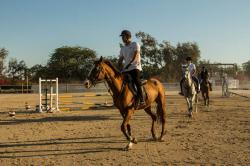 باشگاه سوارکاری جزیره کیش - Kish Island Equestrian Club