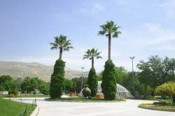 بوستان ولیعصر شیراز - valiasr park