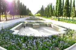 باغ جنت شیراز - jannat garden
