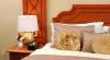 تصویر 46030 فضای اتاق های هتل و آپارتمان های امارات کنکورد دبی