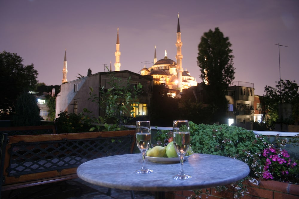 فضای بیرونی هتل درسادت استانبول 111588