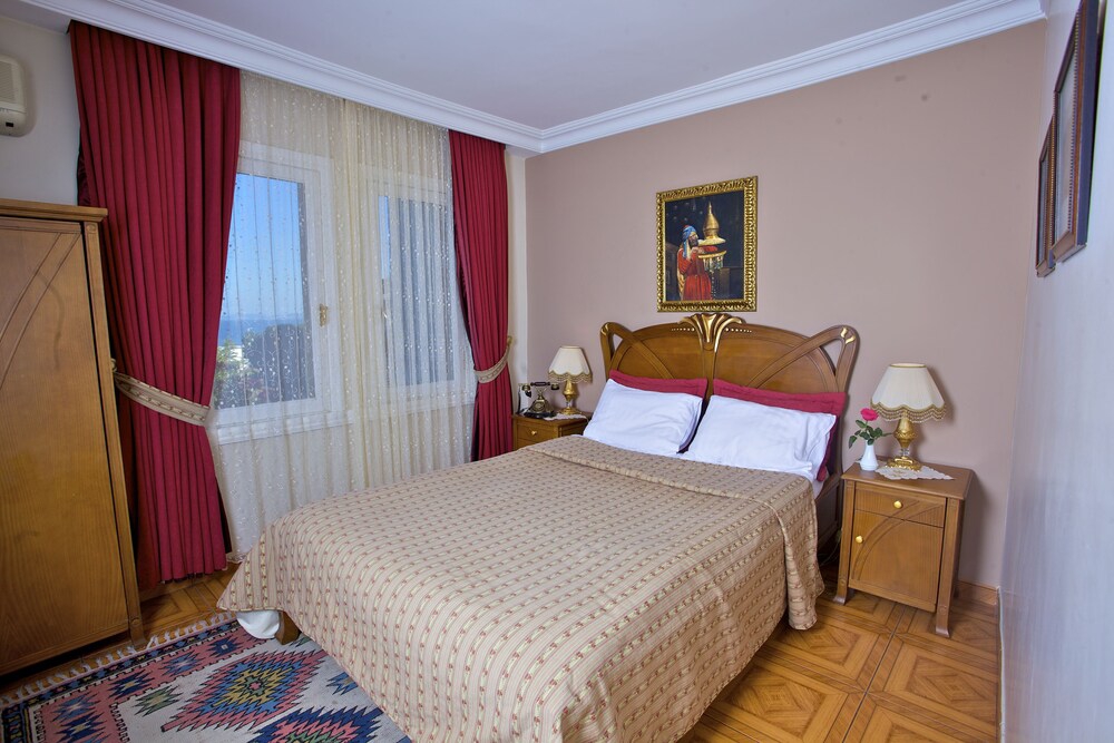 فضای اتاق های هتل آلزر استانبول 118007
