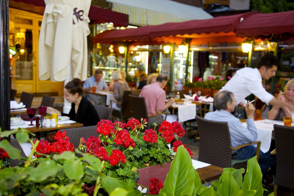 فضای رستورانی و صبحانه هتل آلزر استانبول 118013