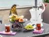 تصویر 123791 فضای رستورانی و صبحانه هتل آرتیسان ام گالری استانبول