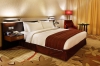 تصویر 139953 فضای اتاق های هتل اکسلسیور داون تاون دبی