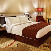 فضای اتاق های هتل اکسلسیور داون تاون دبی 139978
