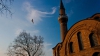 تصویر 151743  مسجد قلندرخانه