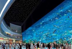 آکواریوم دبی و باغ وحش زیر آب - Dubai Aquarium and Underwater Zoo