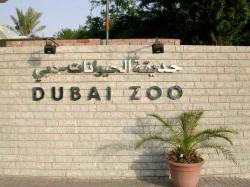 باغ وحش دبی - Dubai Zoo
