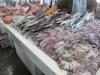 تصویر 53142  بازار ماهی دبی