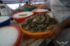 تصویر 53132  بازار ماهی دبی