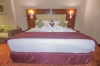 تصویر 53491  هتل دلمون بوتیک دبی