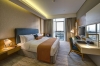 تصویر 53706 فضای اتاق های هتل رویال کنتیننتال دبی