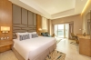 تصویر 55252  هتل رویال سنترال د پالم دبی