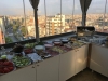 تصویر 57896 فضای رستورانی و صبحانه هتل تکسیم لاین استانبول