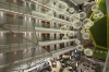تصویر 59335  هتل دابل تری بای هیلتون پیاله پاشا استانبول