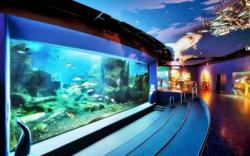 آکواریوم استانبول  - Istanbul Aquarium